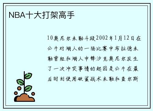 NBA十大打架高手